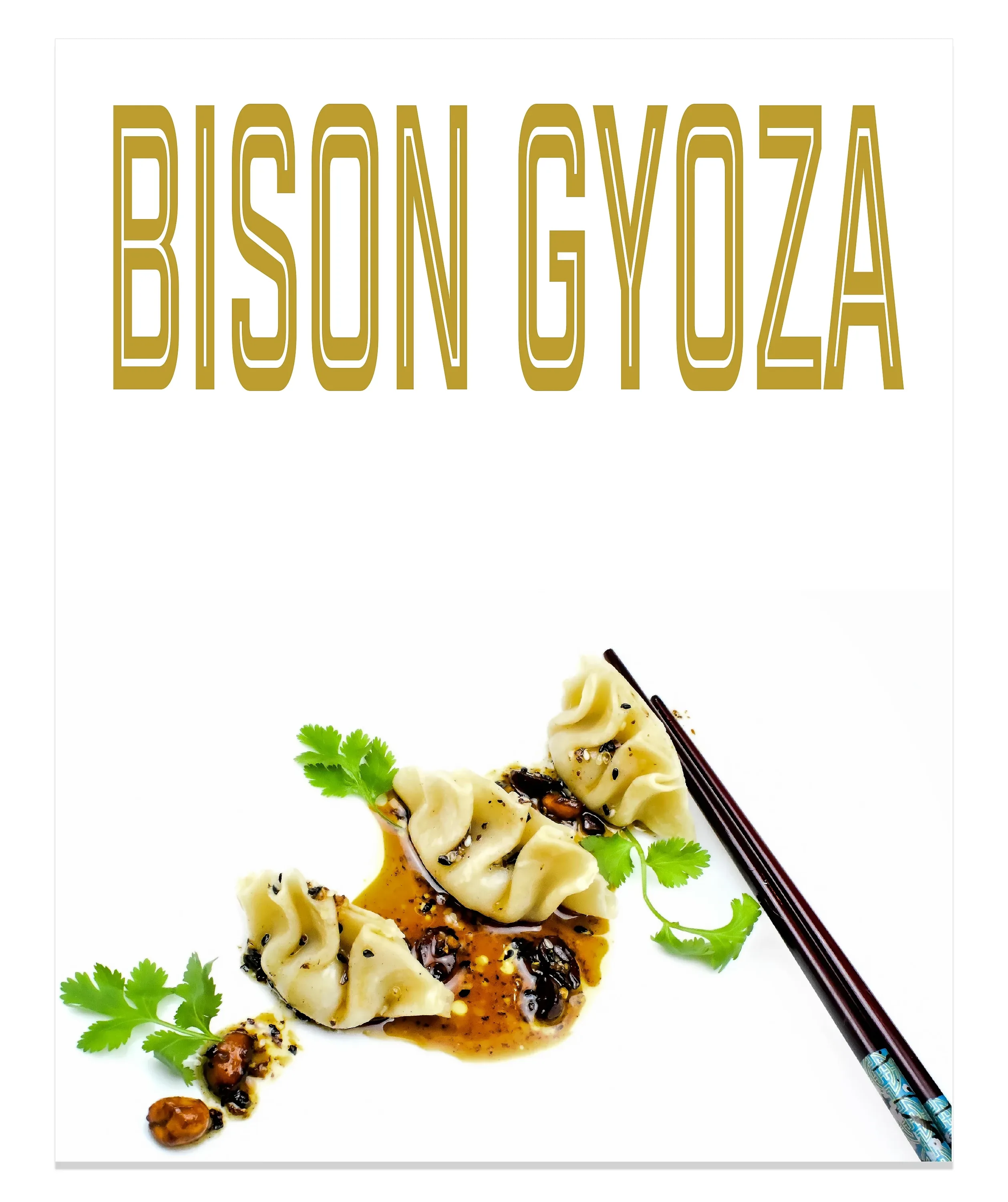 Bison Gyoza magazine-style recipe cover