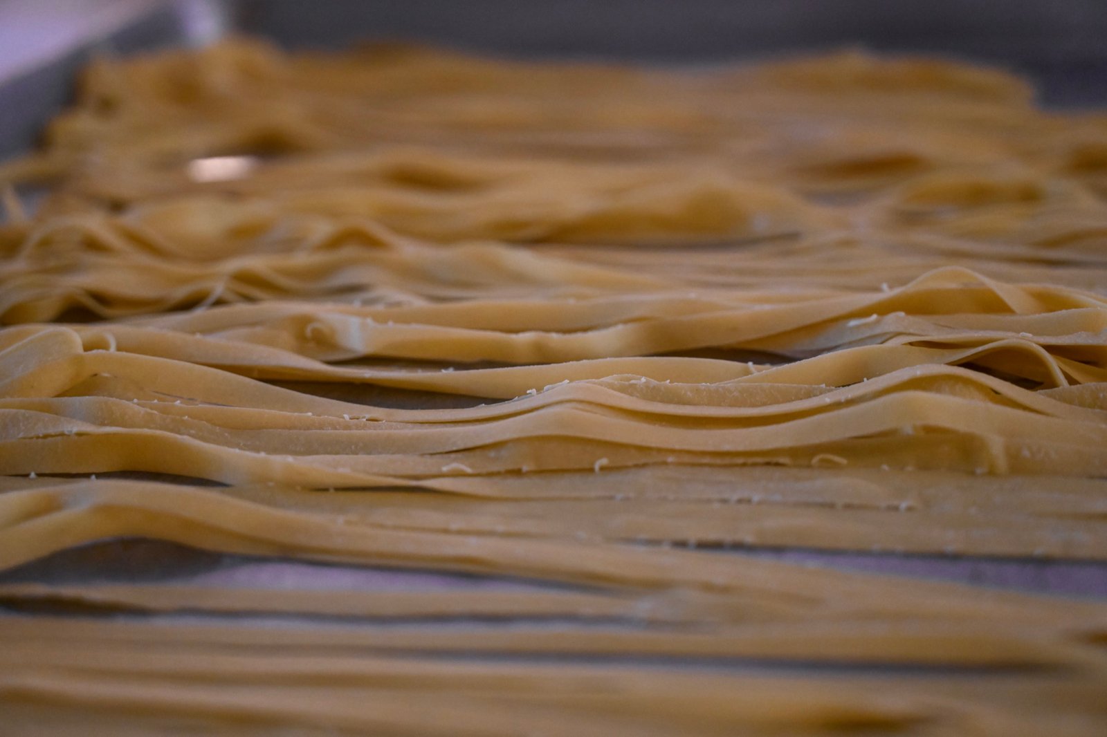 Fresh handmade tagliatelle ribbons spread across the counter