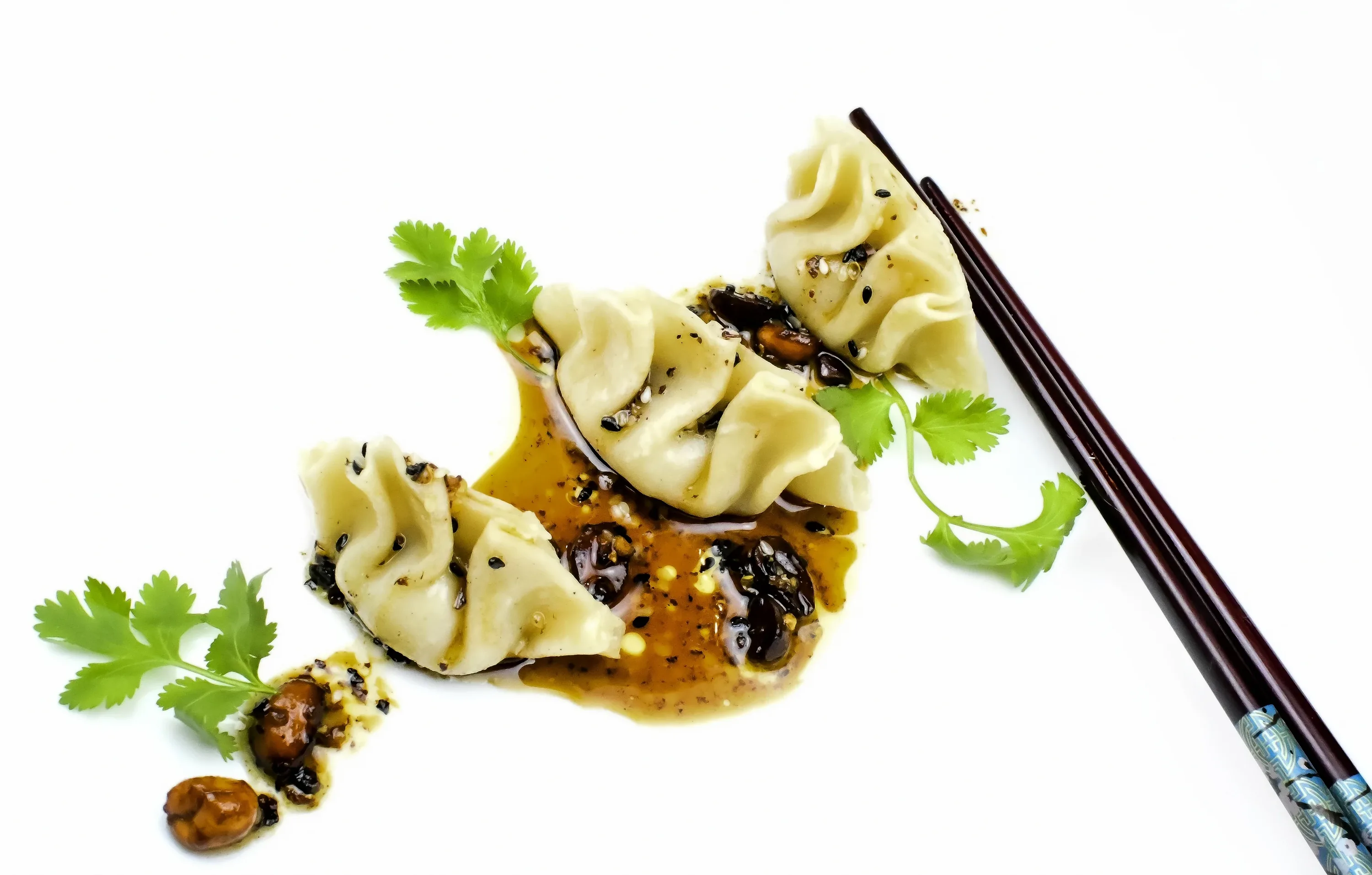 Bison Gyoza