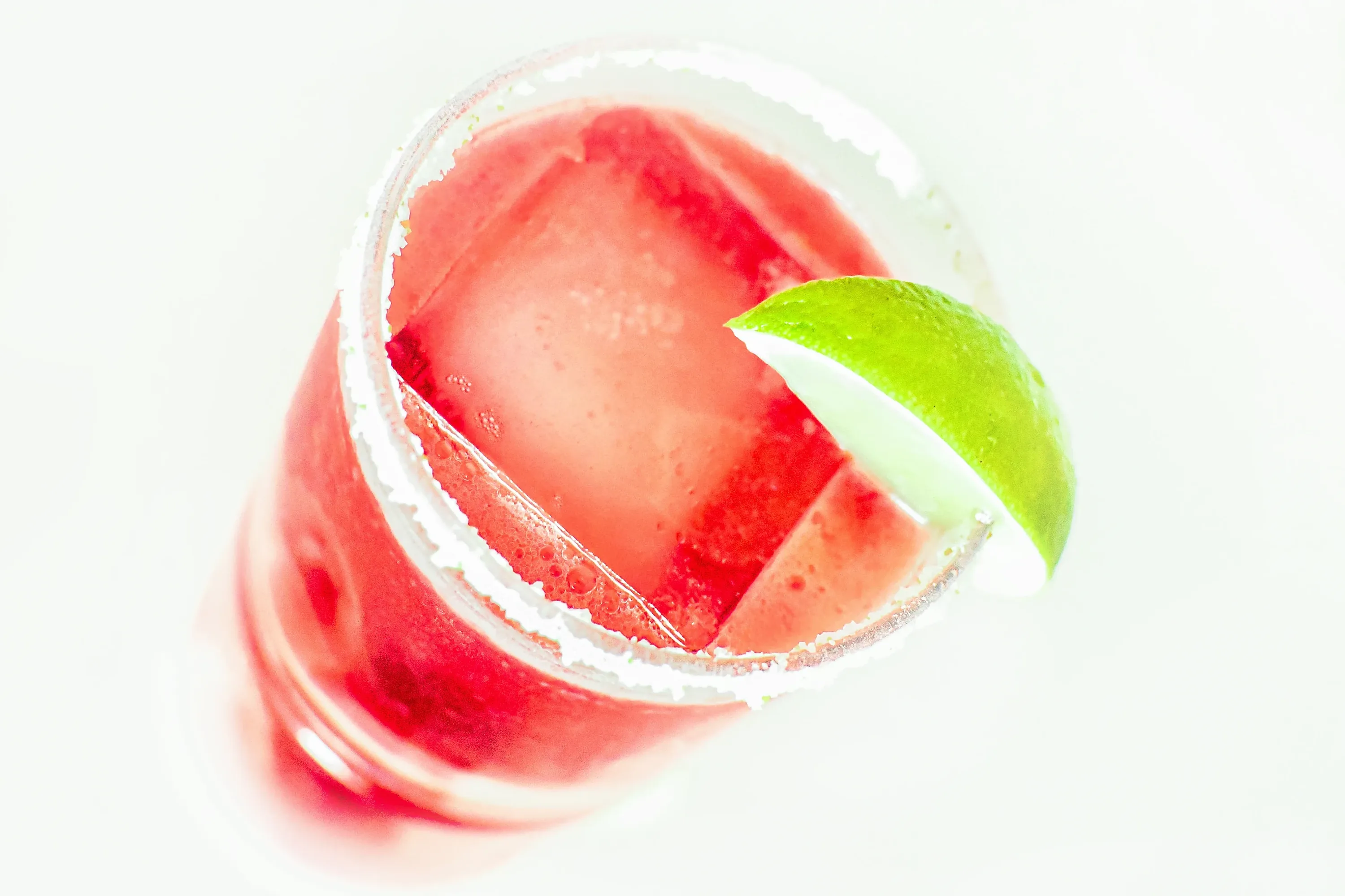 Hibiscus Margarita