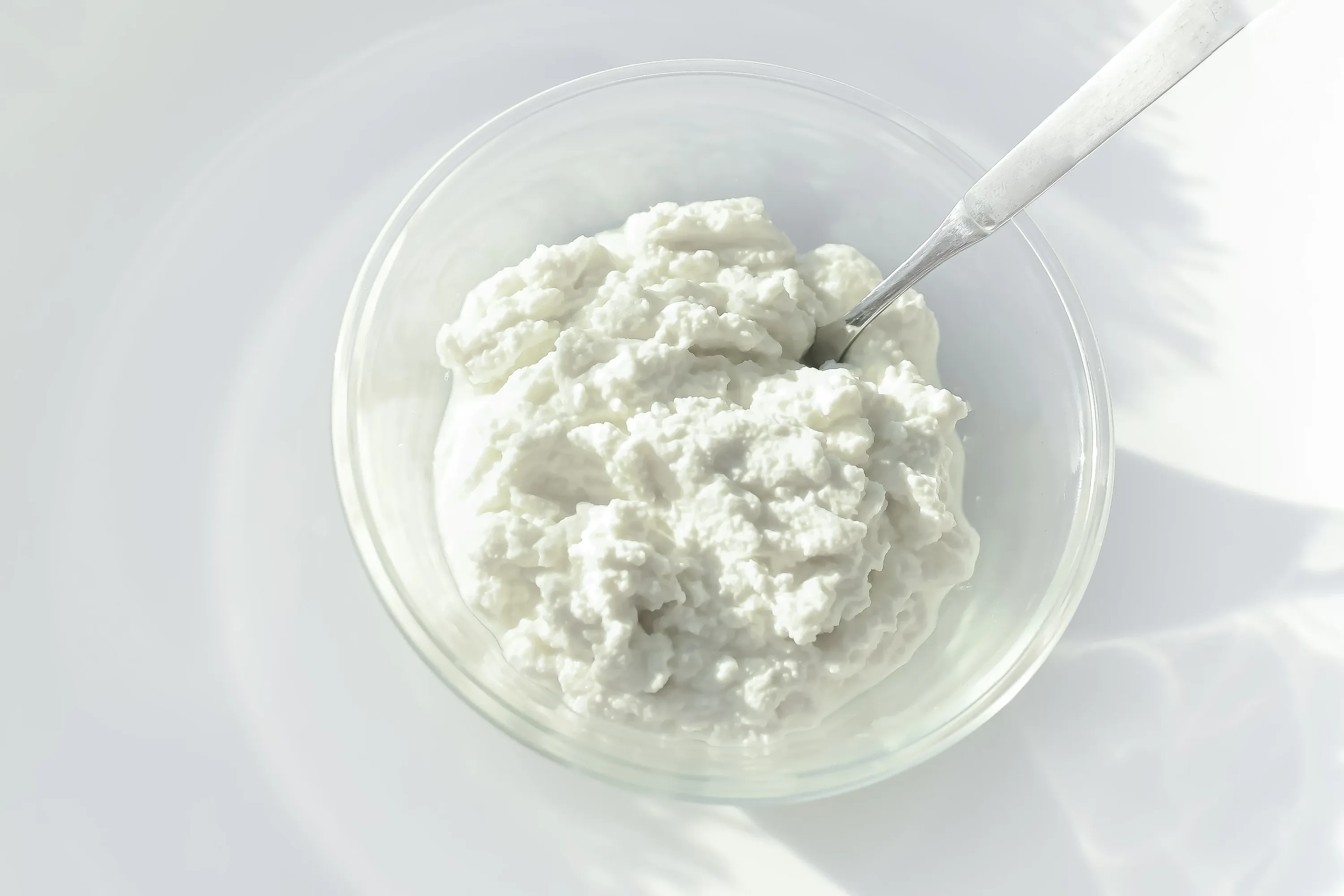 Homemade Ricotta Cheese